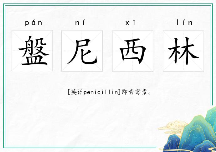 盤尼西林的意思
