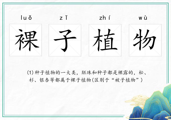 裸子植物的意思