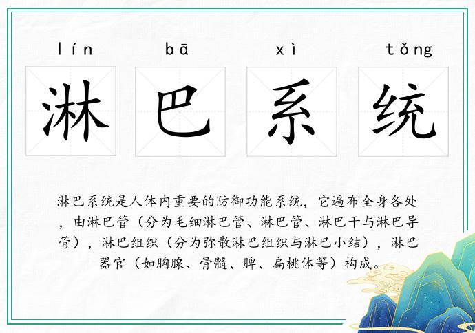 淋巴系統(tǒng)的意思