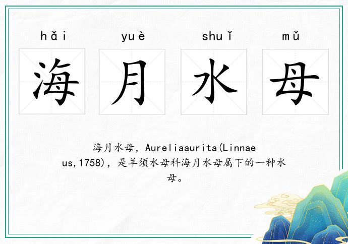 海月水母的意思