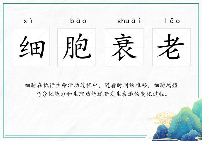 細胞衰老的意思