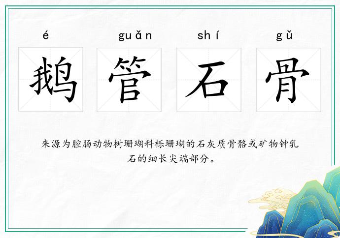 鵝管石骨的意思