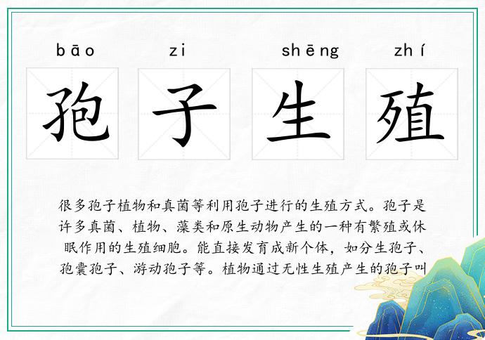 孢子生殖的意思