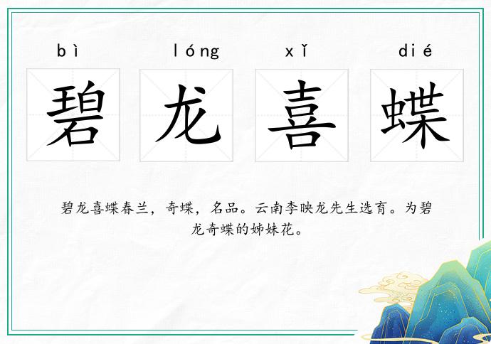 碧龍喜蝶的意思