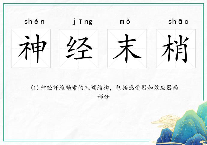 神經(jīng)末梢的意思
