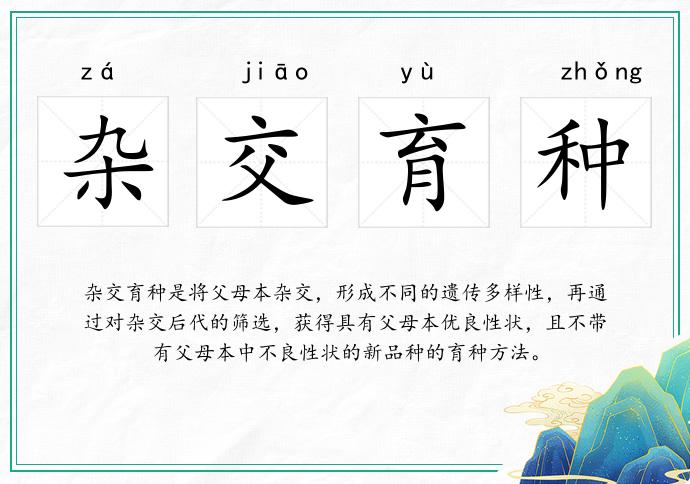 雜交育種的意思