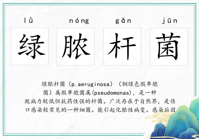 綠膿桿菌的意思