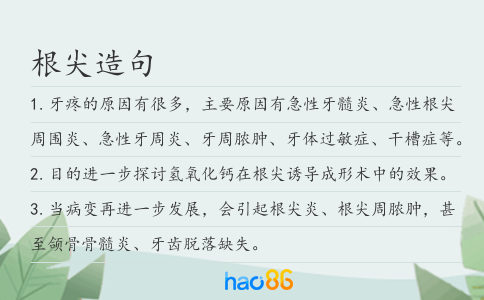 根尖造句