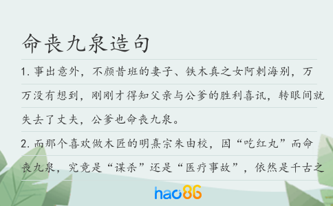 命喪九泉造句