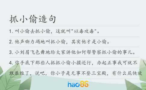 抓小偷造句