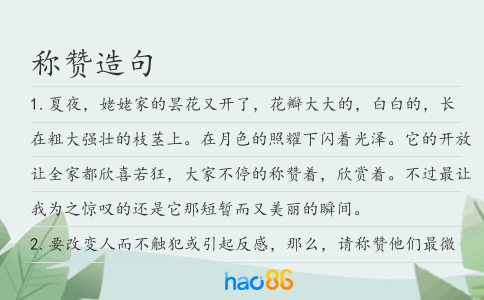 稱贊造句