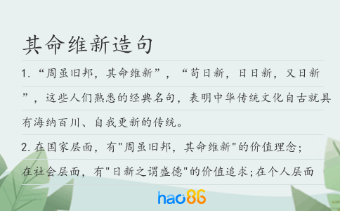 其命維新造句