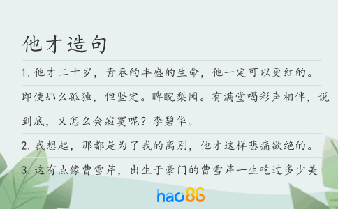 他才造句