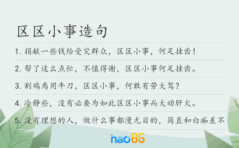 區區小事造句