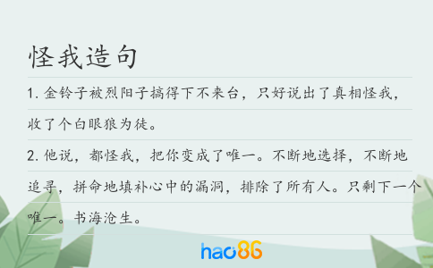 怪我造句