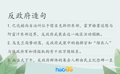 反政府造句