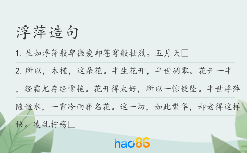 浮萍造句