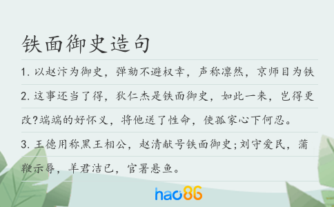 鐵面御史造句