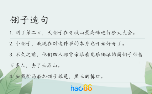 翎子造句