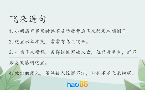 飛來造句