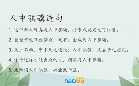 人中騏驥造句