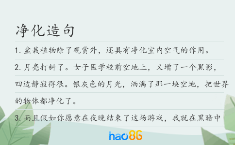 凈化造句