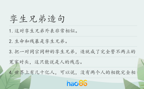 孿生兄弟造句