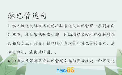 淋巴管造句