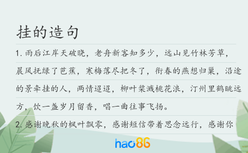 掛的造句
