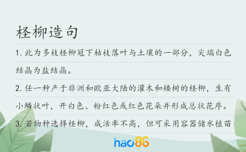 檉柳造句