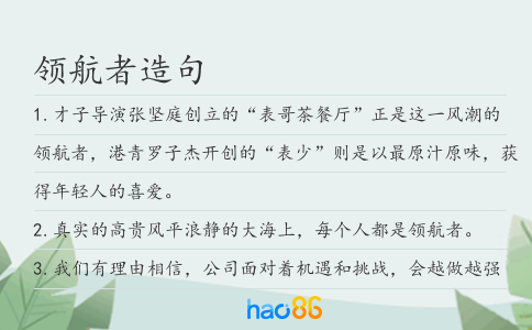 領航者造句