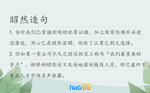 昭然造句