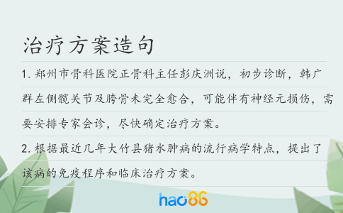 治療方案造句
