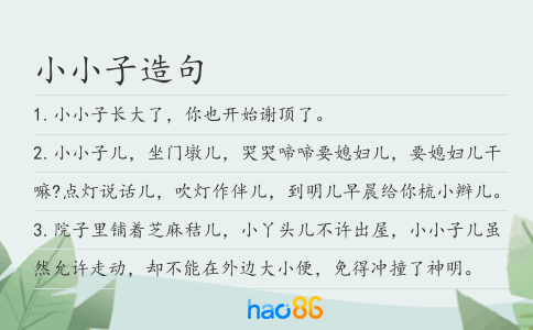 小小子造句