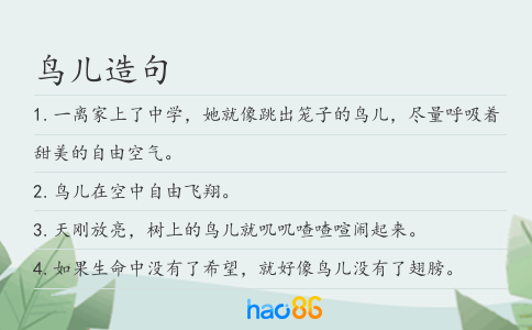 鳥兒造句