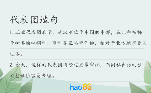代表團造句