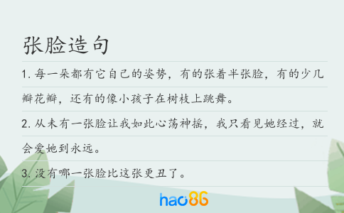 張臉造句