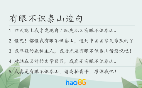 有眼不識泰山造句