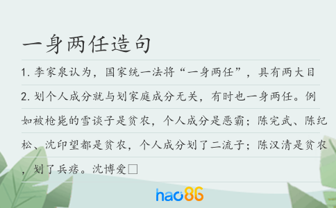 一身兩任造句