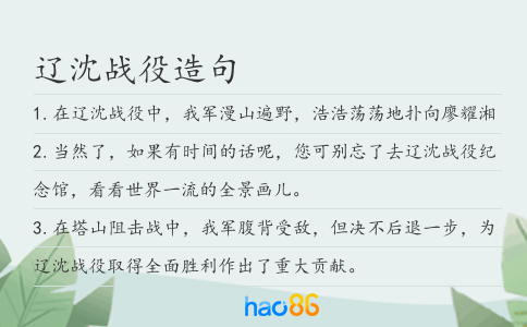 遼沈戰(zhàn)役造句