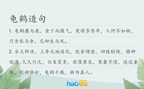 龜鶴造句