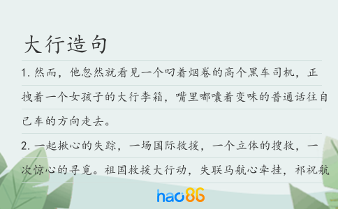 大行造句