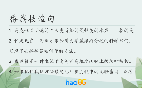 番荔枝造句