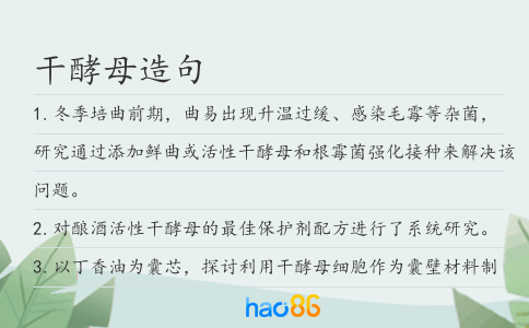 干酵母造句