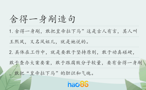 舍得一身剮造句