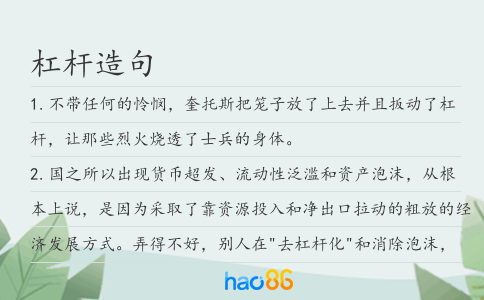 杠桿造句