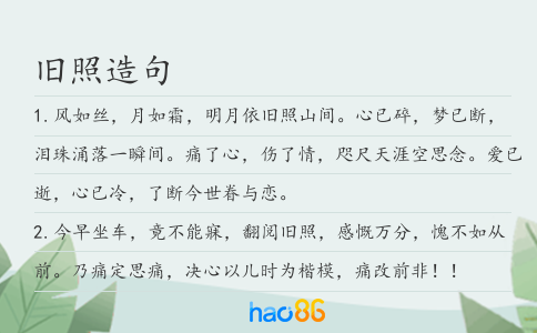 舊照造句
