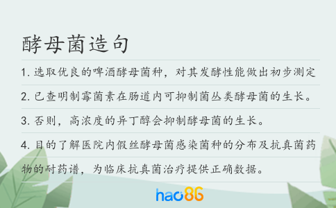 酵母菌造句