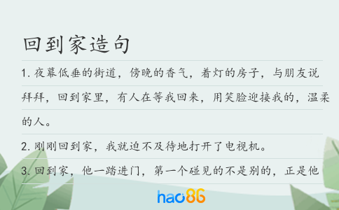 回到家造句