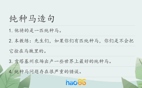 純種馬造句